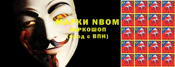 индика Краснослободск