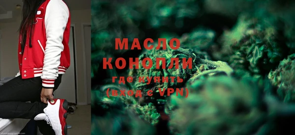 индика Краснослободск