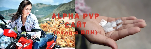 индика Краснослободск