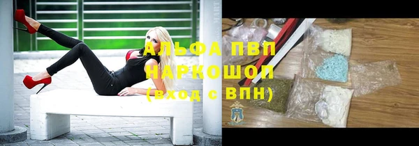 индика Краснослободск