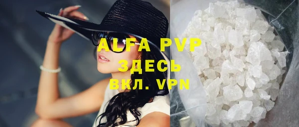 индика Краснослободск