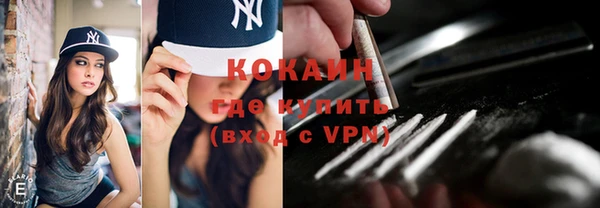 индика Краснослободск