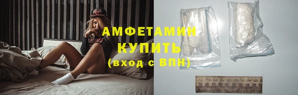 индика Краснослободск