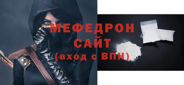 индика Краснослободск