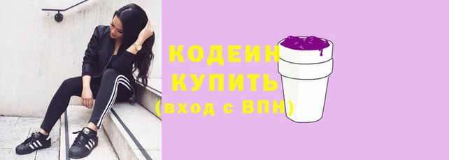 индика Краснослободск