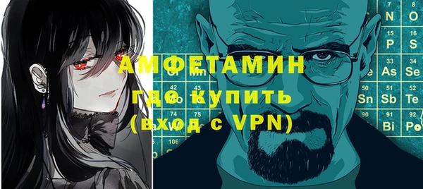 индика Краснослободск