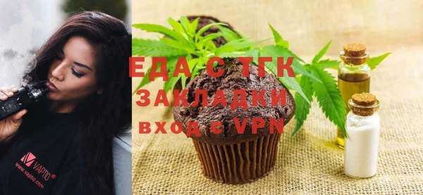 индика Краснослободск