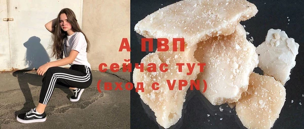 индика Краснослободск