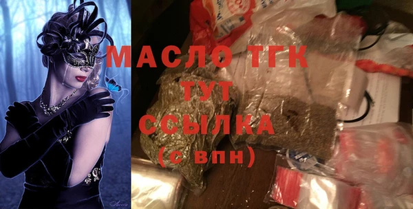 индика Краснослободск