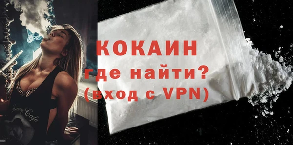 индика Краснослободск