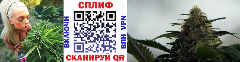Шишки марихуана гибрид  Купить закладки  Западная Двина 